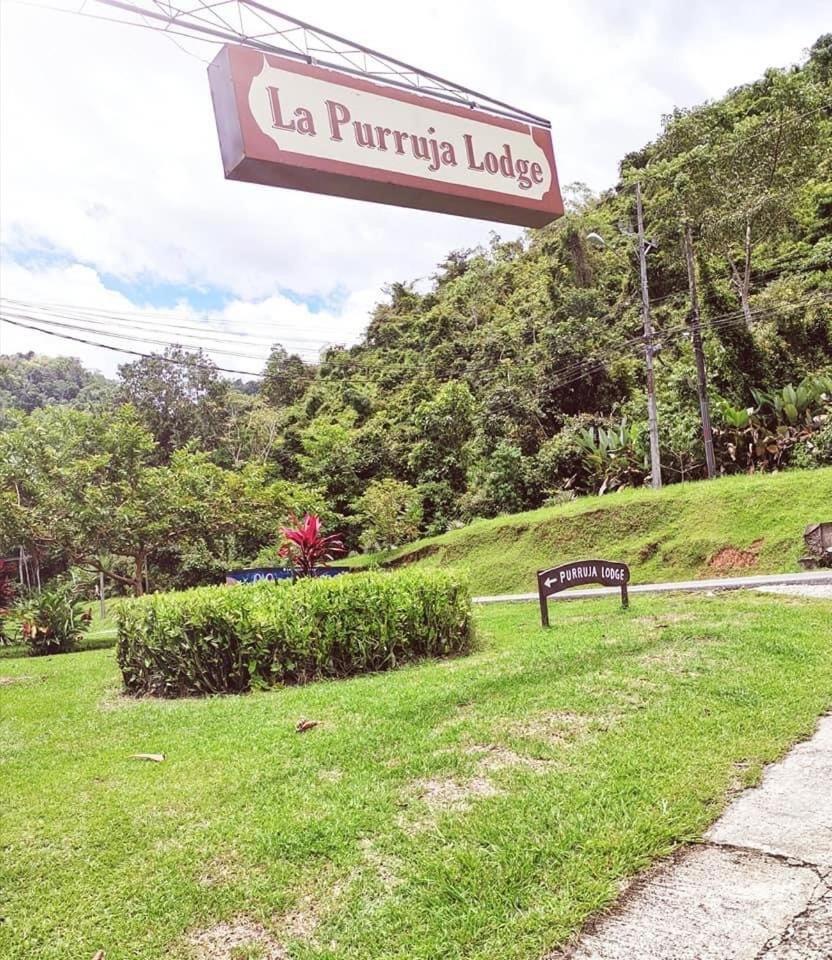 La Purruja Lodge Golfito Exteriér fotografie