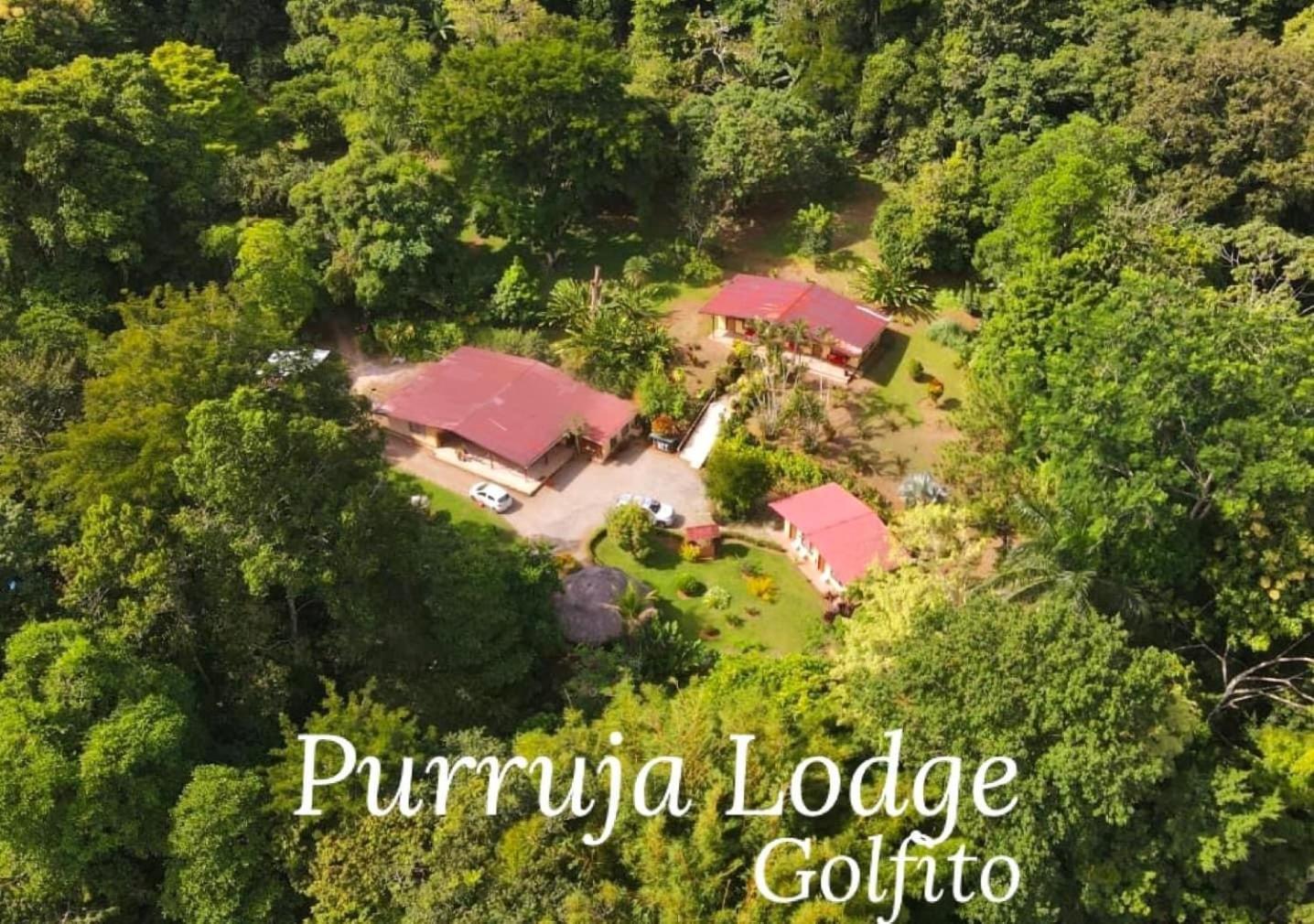 La Purruja Lodge Golfito Exteriér fotografie